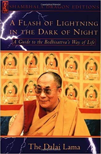 A Flash of Lightning in the Dark of Night: A Guide to the Bodhisattva's Way of Life